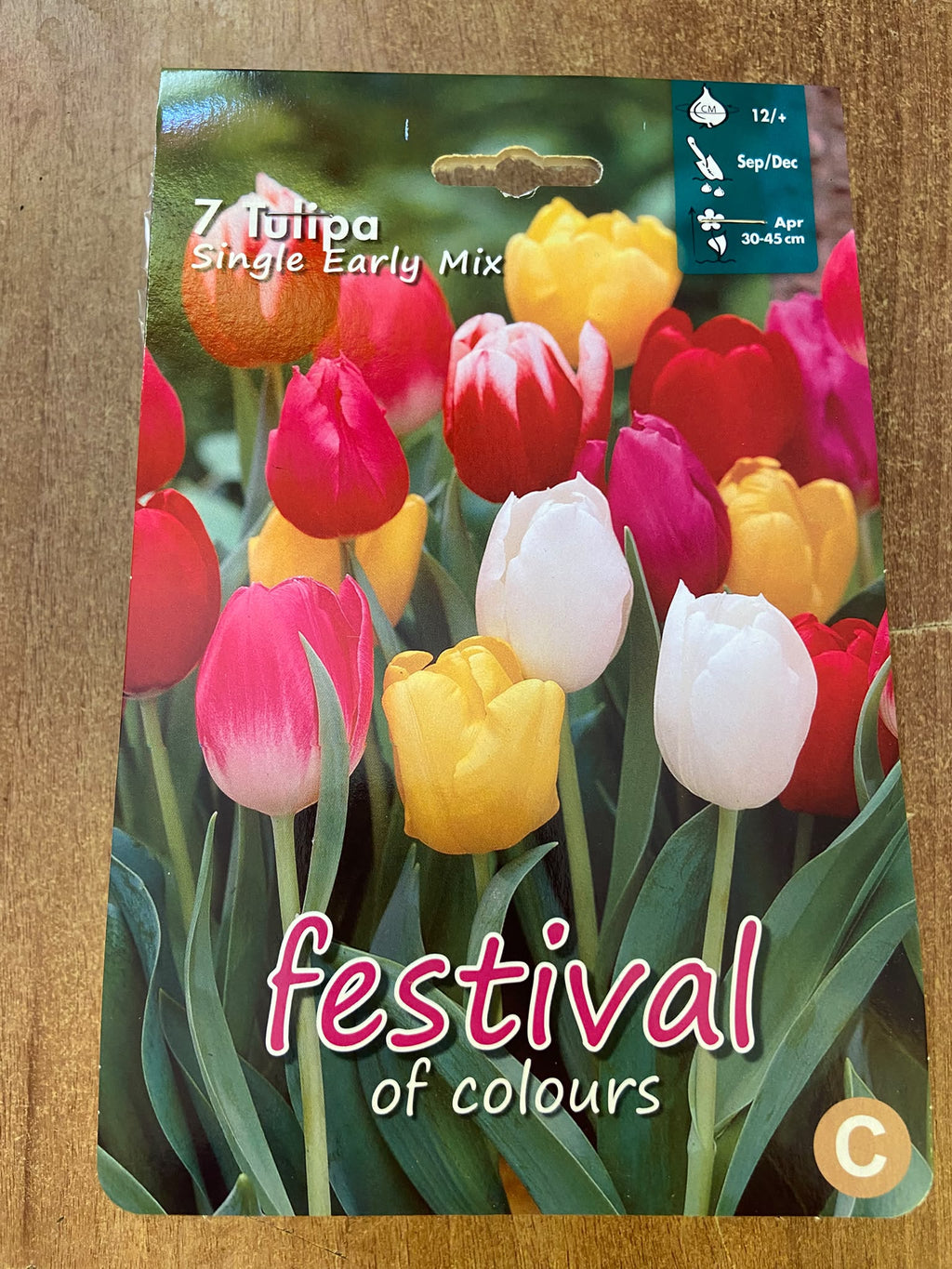 🌷 7 Bulbi di Tulipano "Single Early Mix" - Festival of Colours (Calibro Extra 12/+)