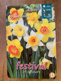 🌼 10 Bulbi di Narciso "Narcissus Mix" - Festival of Colours (Calibro Superiore 12/14)