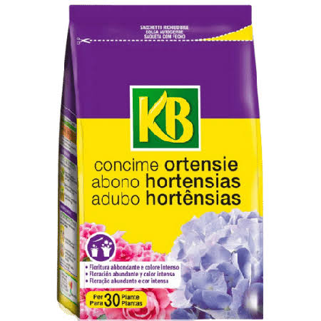 Concime Ortensie KB per fioriture prolungate, forti e crescita equilibrata